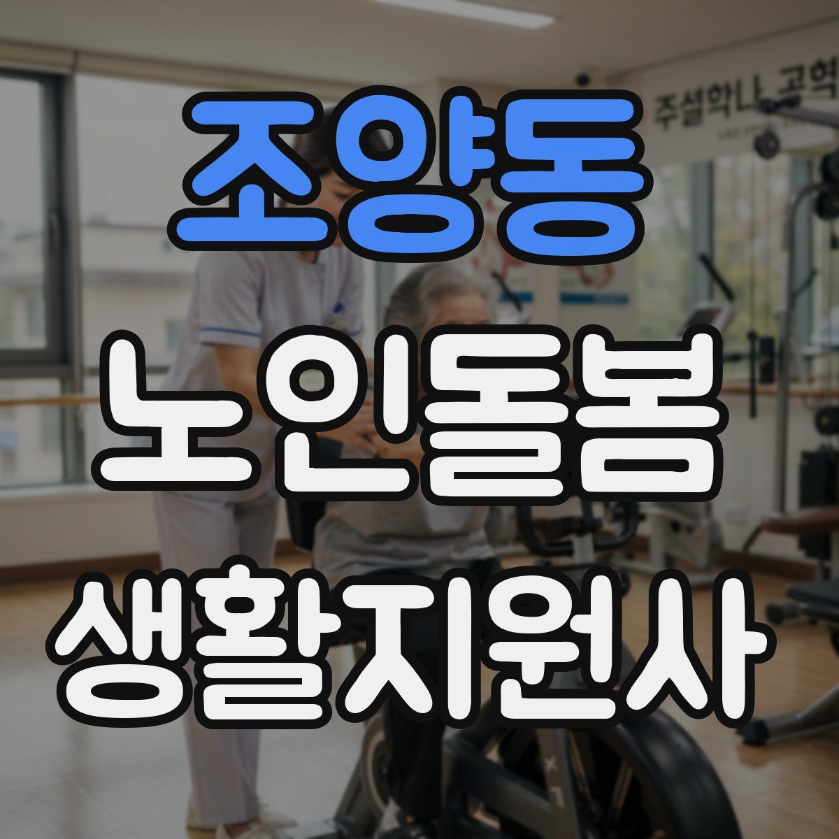 조양동 노인돌봄생활지원사 자격증