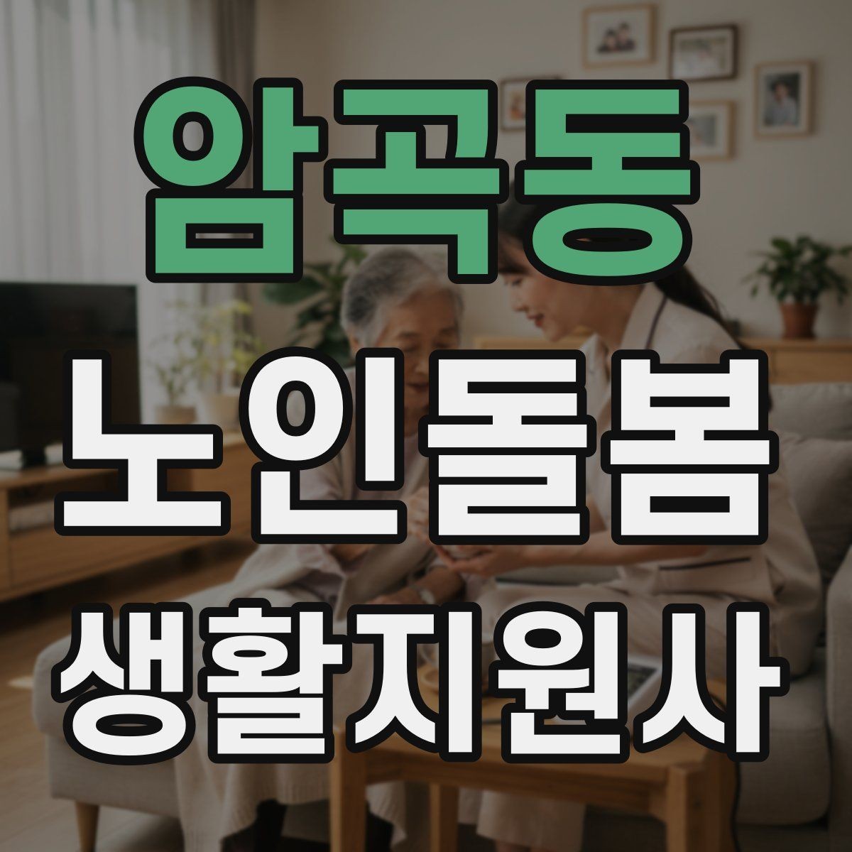 암곡동 노인돌봄생활지원사 자격증 약 봉투가 많을 때 정리하는 요령