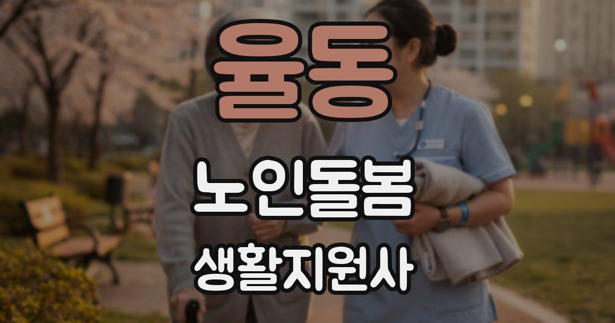 율동 노인돌봄생활지원사 자격증