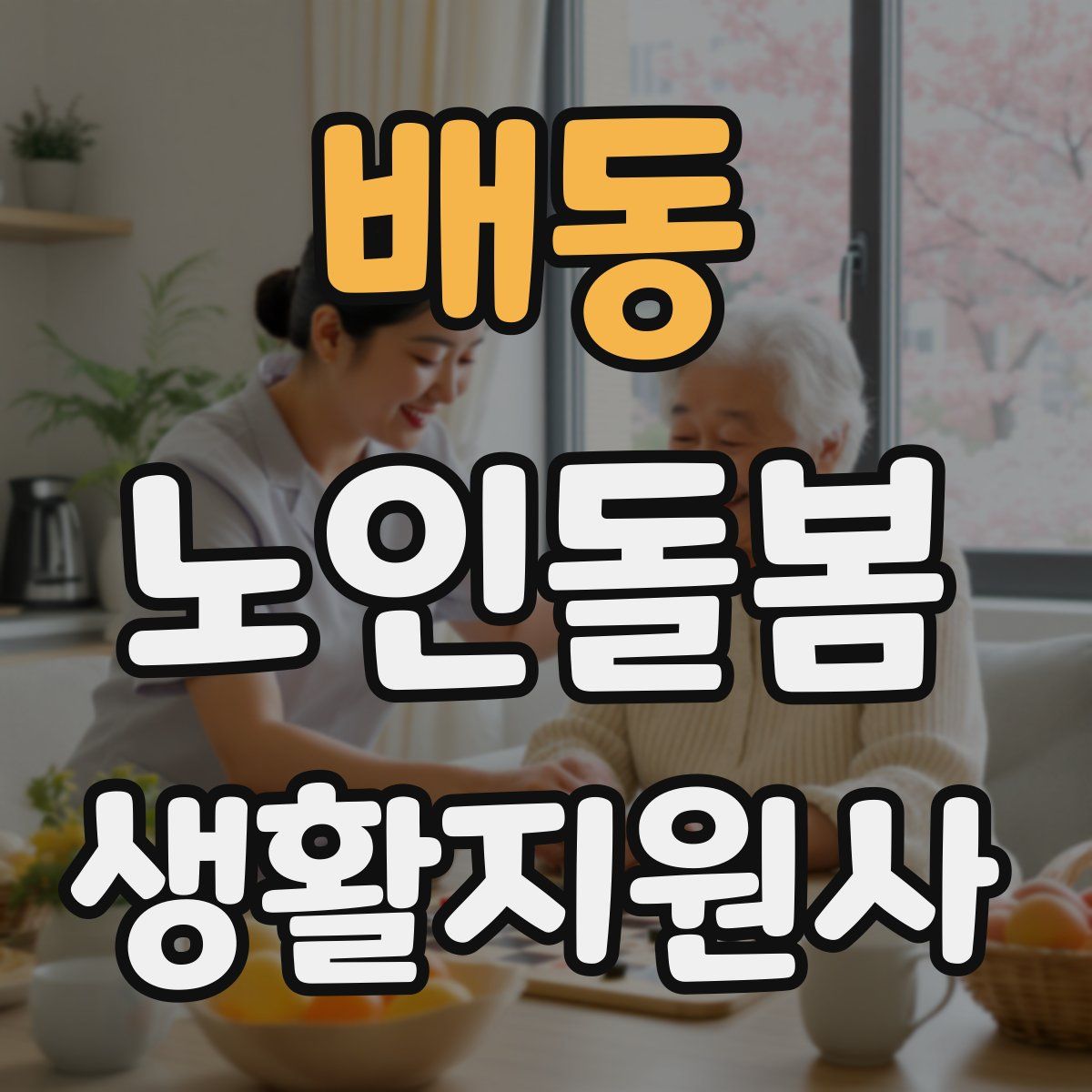 배동 노인돌봄생활지원사 자격증