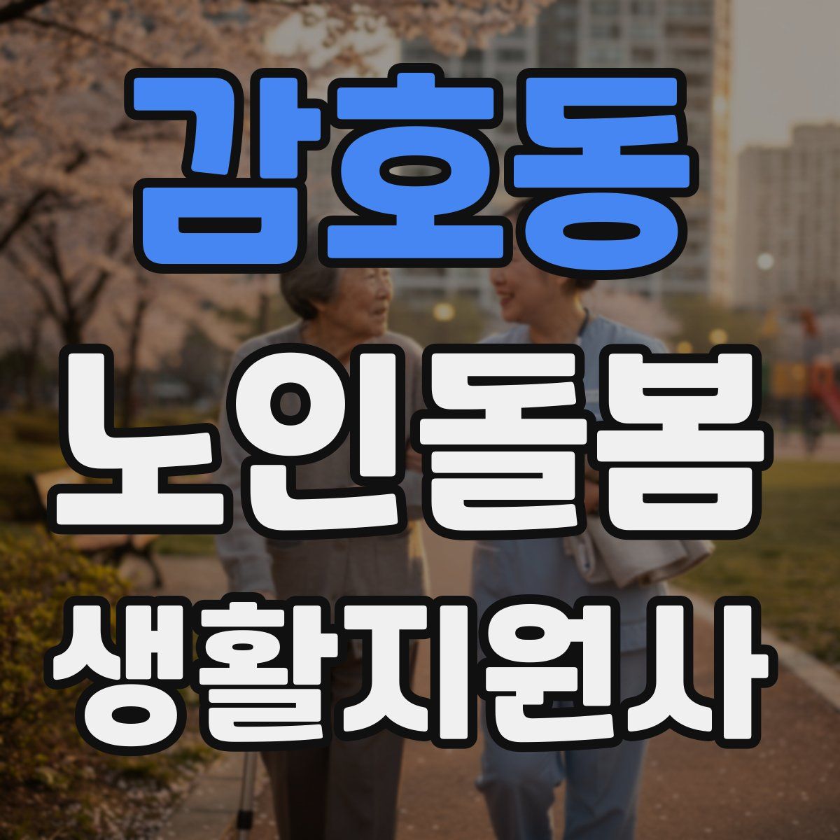 감호동 노인돌봄생활지원사 자격증
