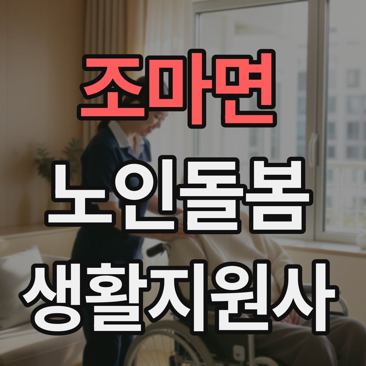 조마면 노인돌봄생활지원사 자격증