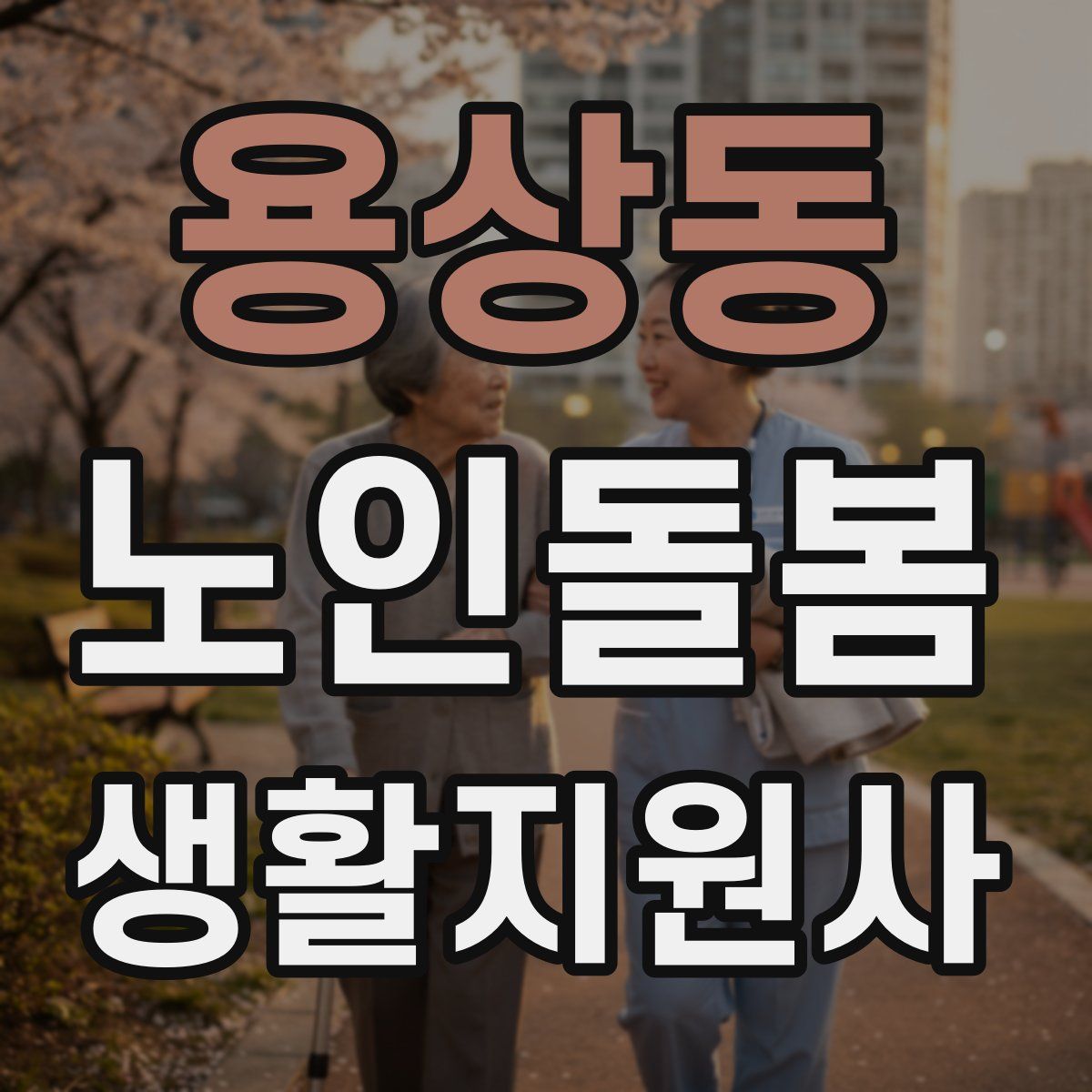 용상동 노인돌봄생활지원사 자격증