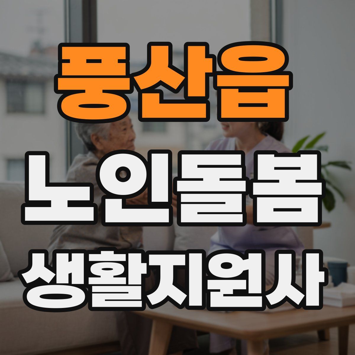 풍산읍 노인돌봄생활지원사 자격증