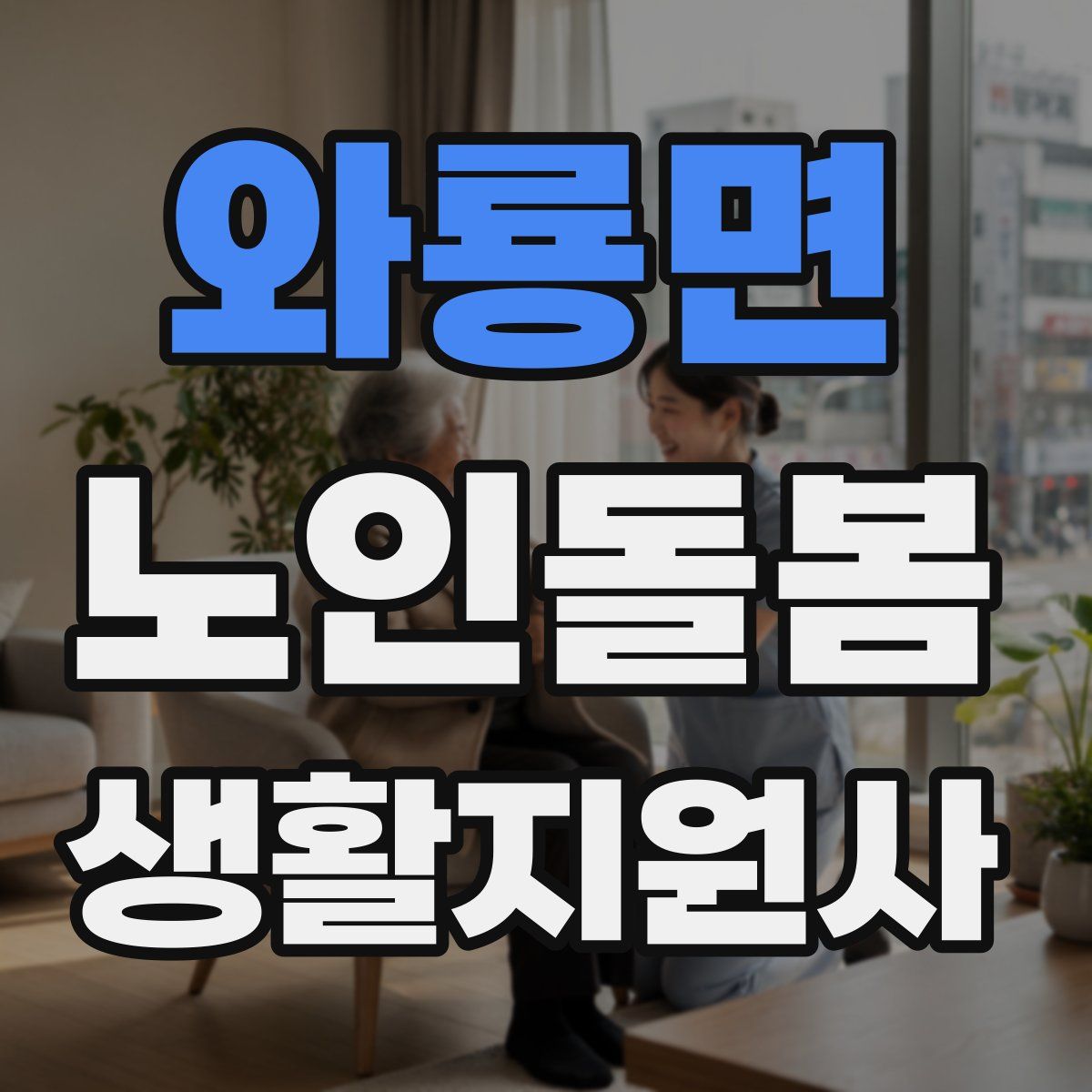 와룡면 노인돌봄생활지원사 자격증