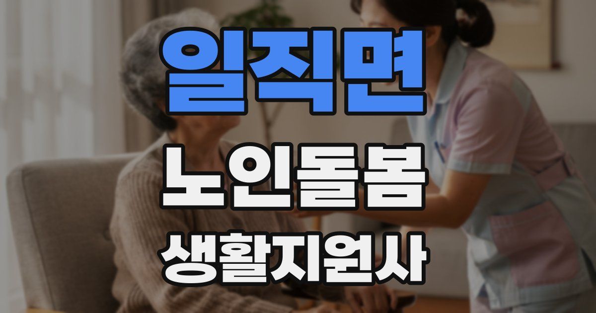 일직면 노인돌봄생활지원사 자격증
