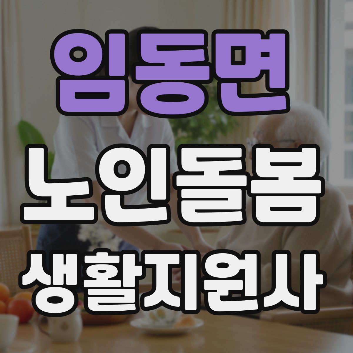 임동면 노인돌봄생활지원사 자격증