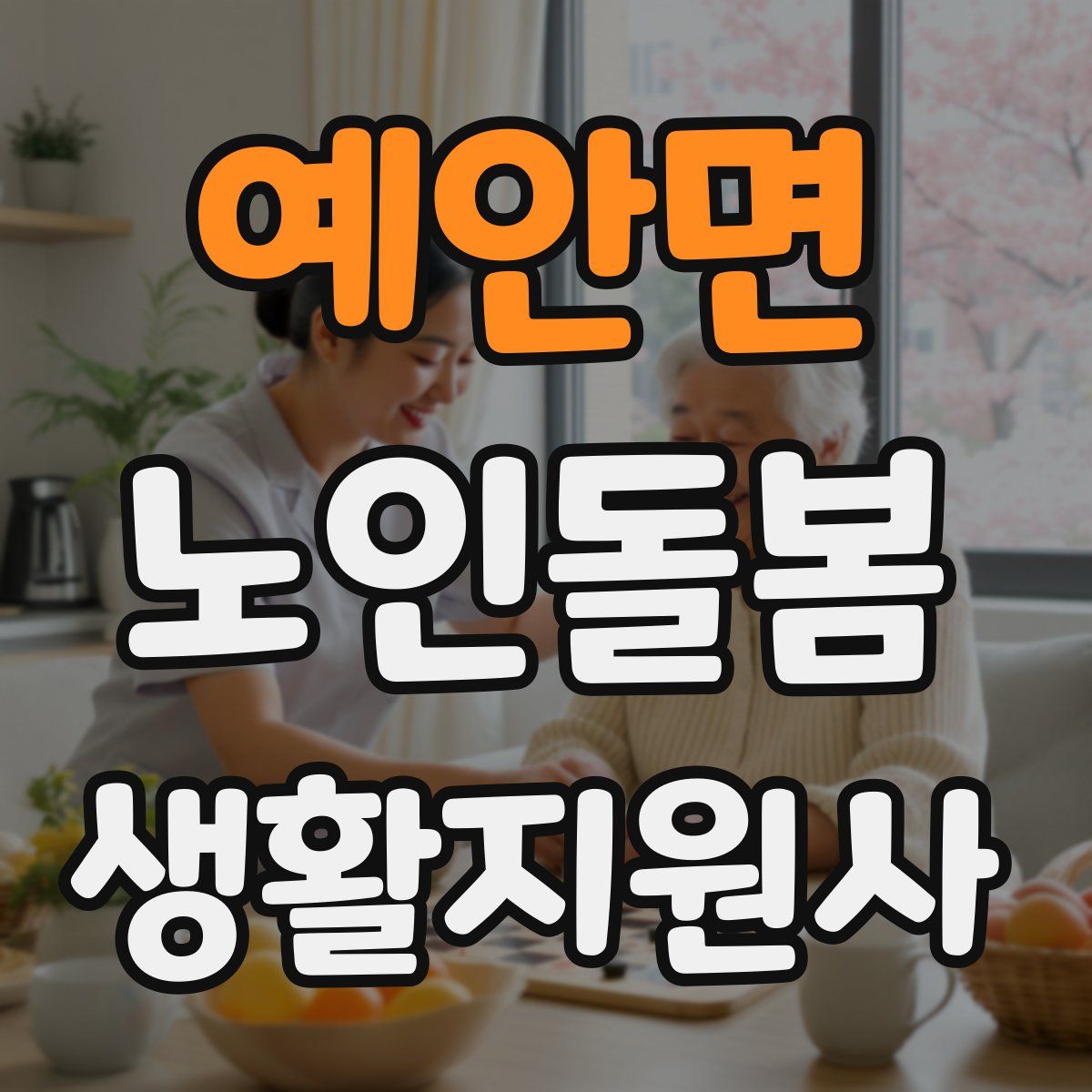 예안면 노인돌봄생활지원사 자격증