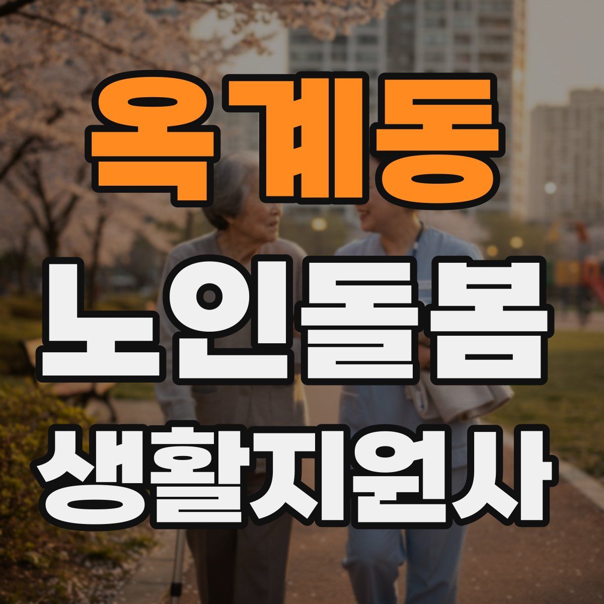 옥계동 노인돌봄생활지원사 자격증