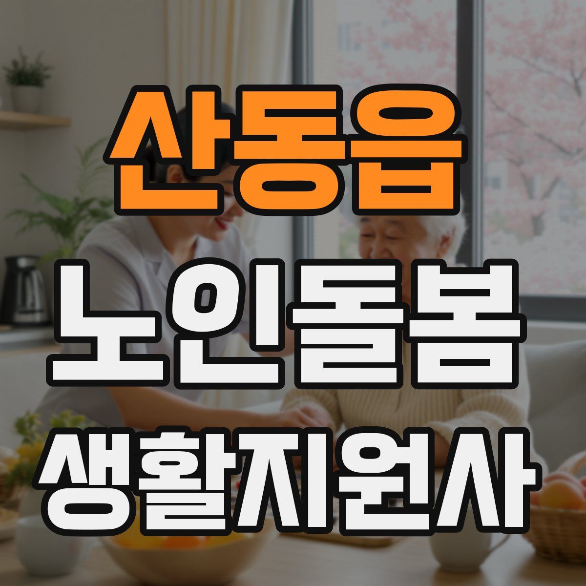 산동읍 노인돌봄생활지원사 자격증
