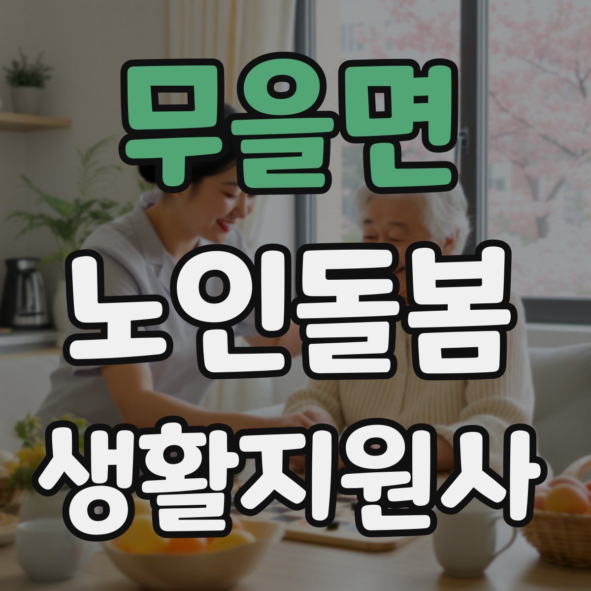 무을면 노인돌봄생활지원사 자격증