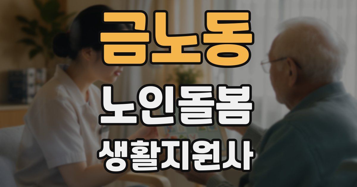금노동 노인돌봄생활지원사 자격증