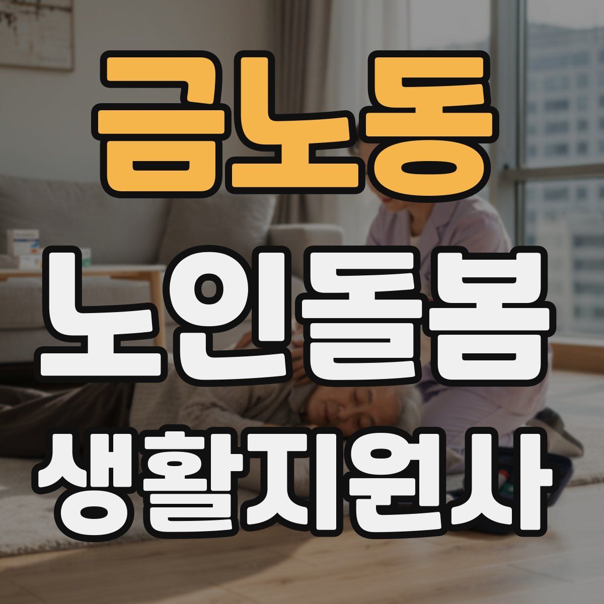 금노동 노인돌봄생활지원사 자격증