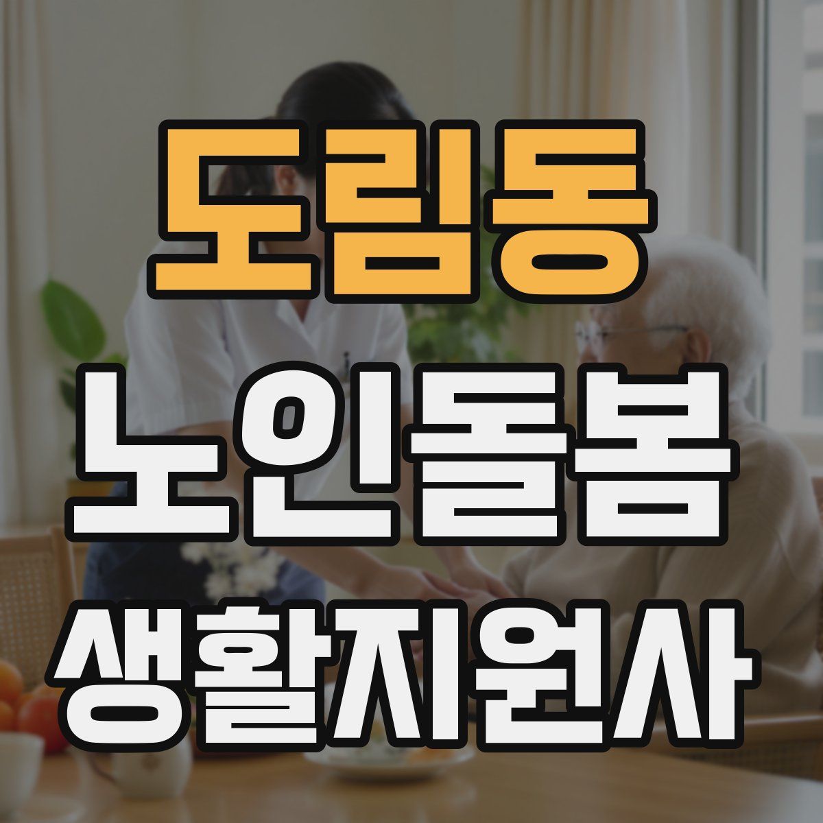 도림동 노인돌봄생활지원사 자격증