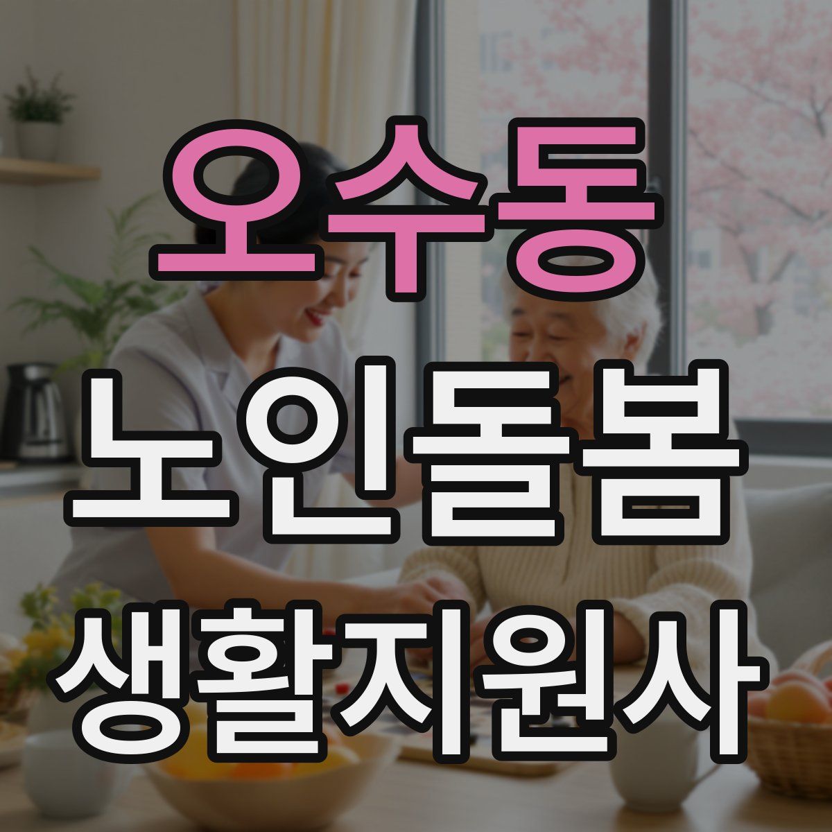 오수동 노인돌봄생활지원사 자격증