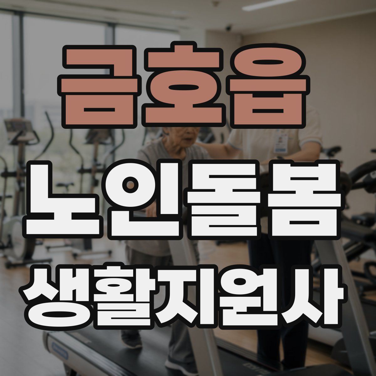 금호읍 노인돌봄생활지원사 자격증