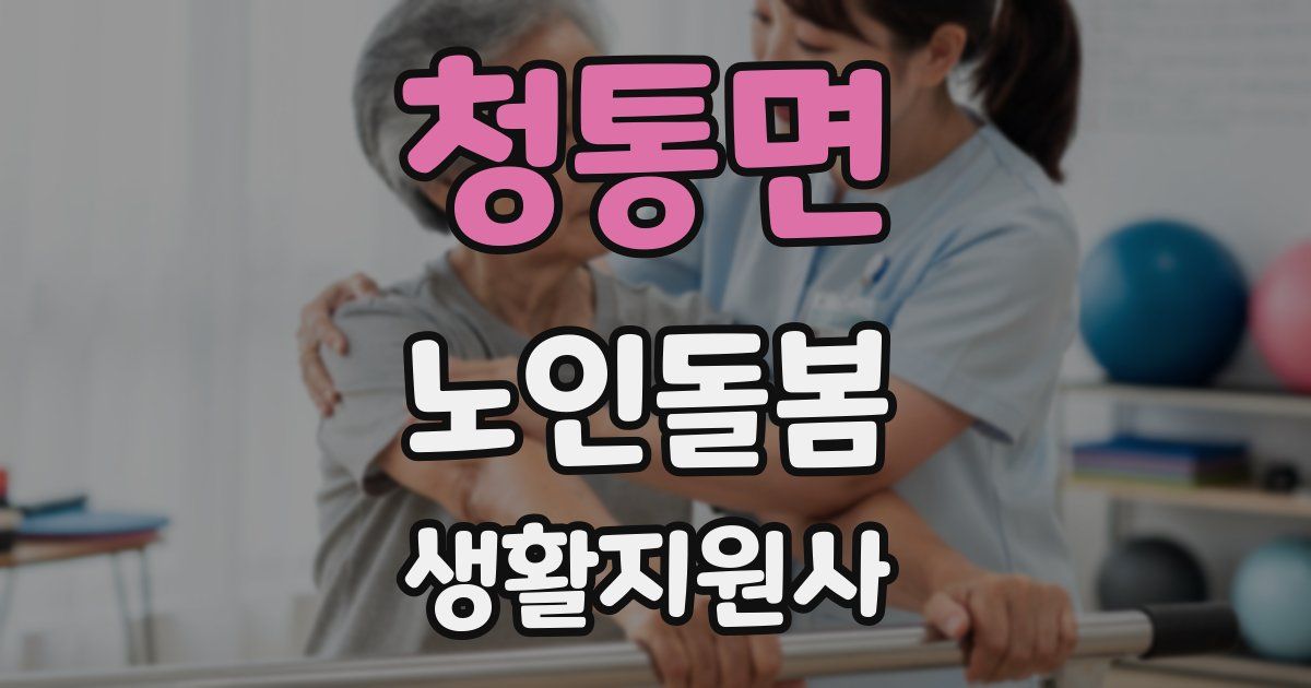 청통면 노인돌봄생활지원사 자격증