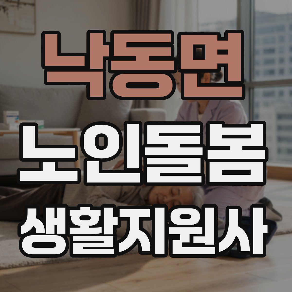 낙동면 노인돌봄생활지원사 자격증