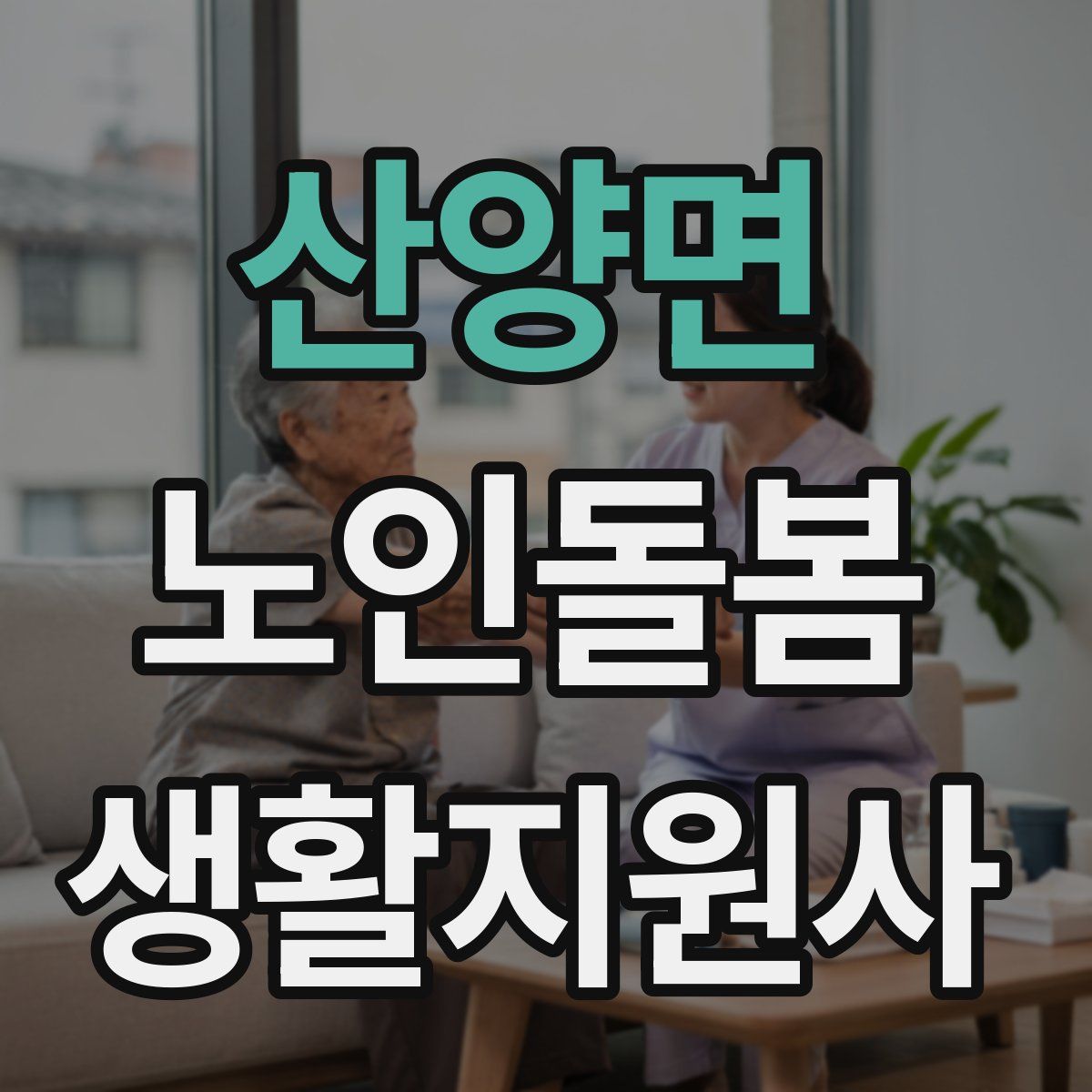 산양면 노인돌봄생활지원사 자격증