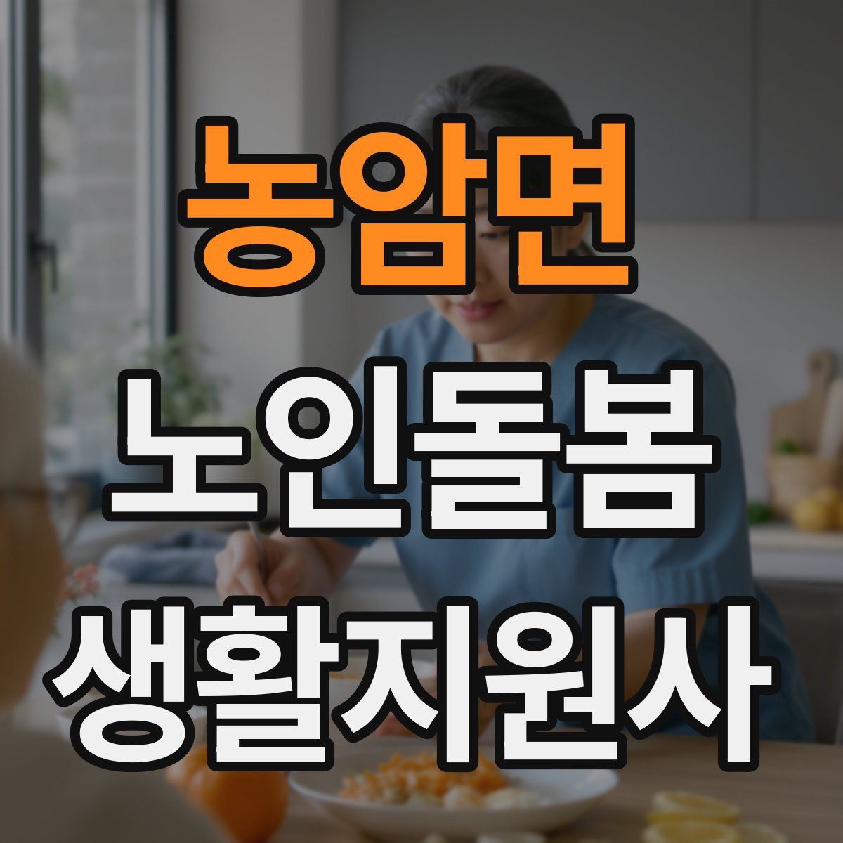 농암면 노인돌봄생활지원사 자격증