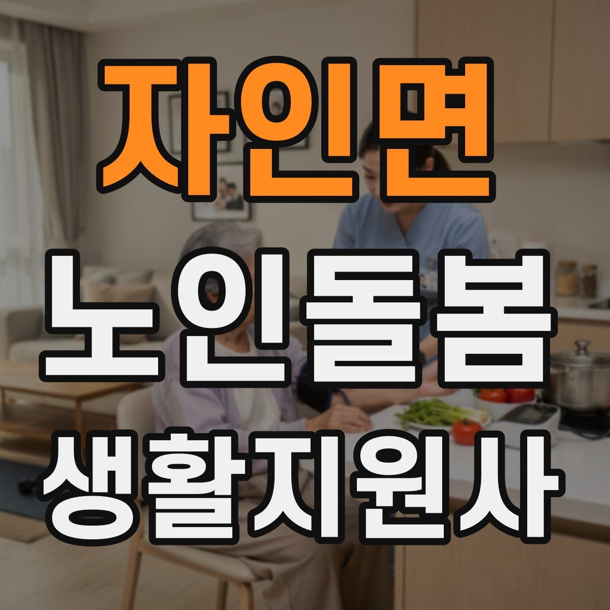 자인면 노인돌봄생활지원사 자격증