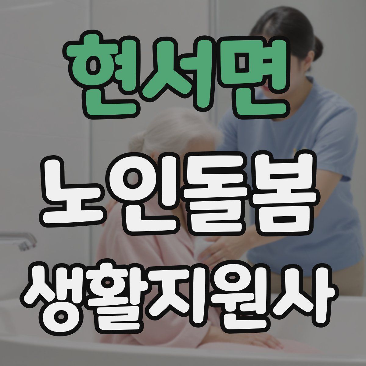 현서면 노인돌봄생활지원사 자격증