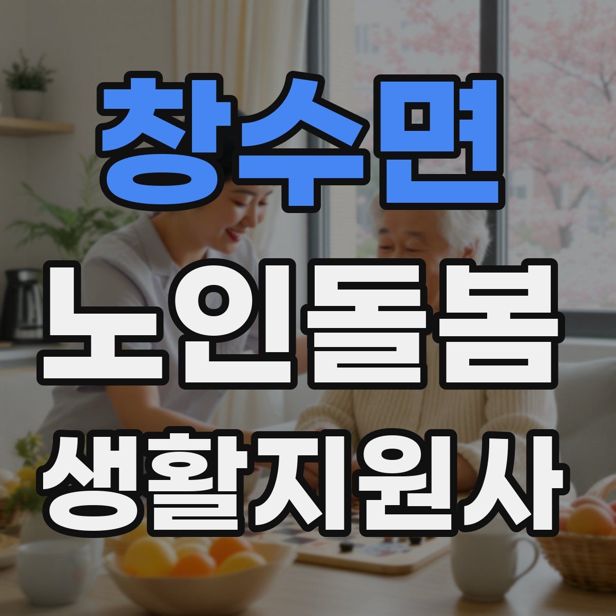 창수면 노인돌봄생활지원사 자격증