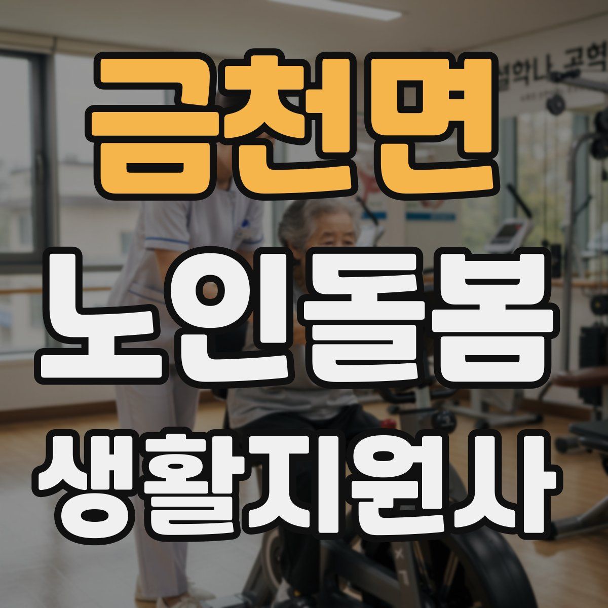 금천면 노인돌봄생활지원사 자격증