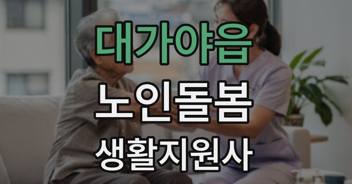 대가야읍 노인돌봄생활지원사 자격증