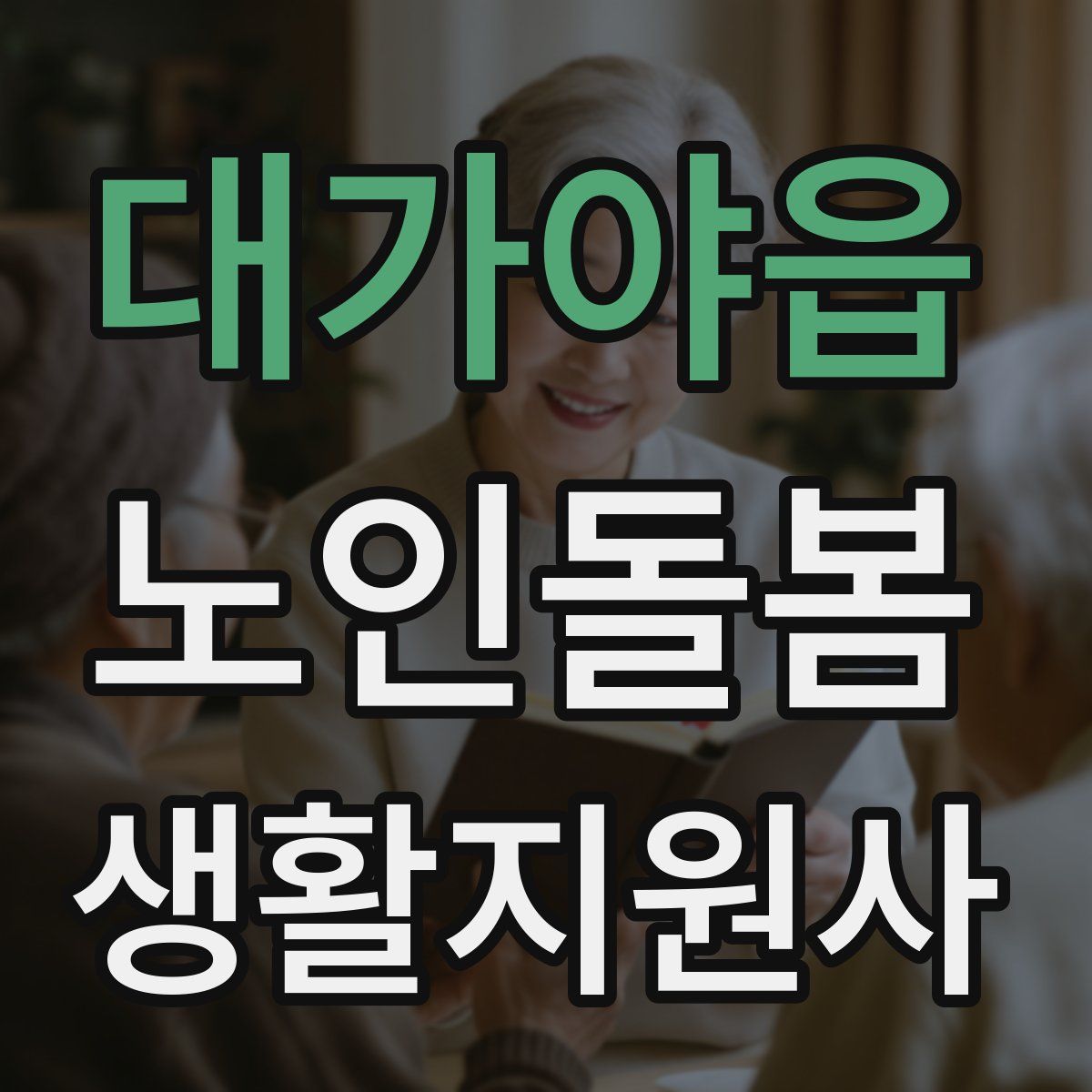 대가야읍 노인돌봄생활지원사 자격증