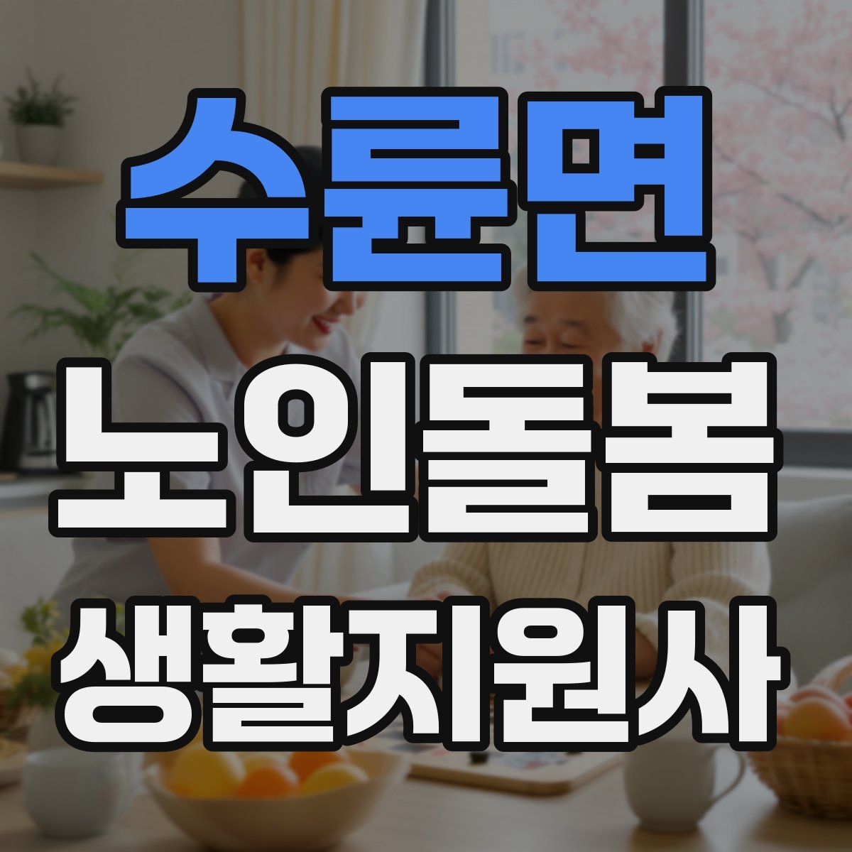 수륜면 노인돌봄생활지원사 자격증