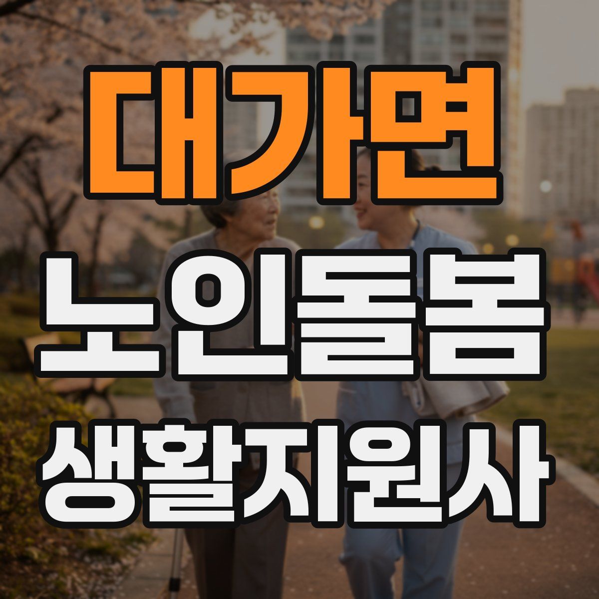 대가면 노인돌봄생활지원사 자격증