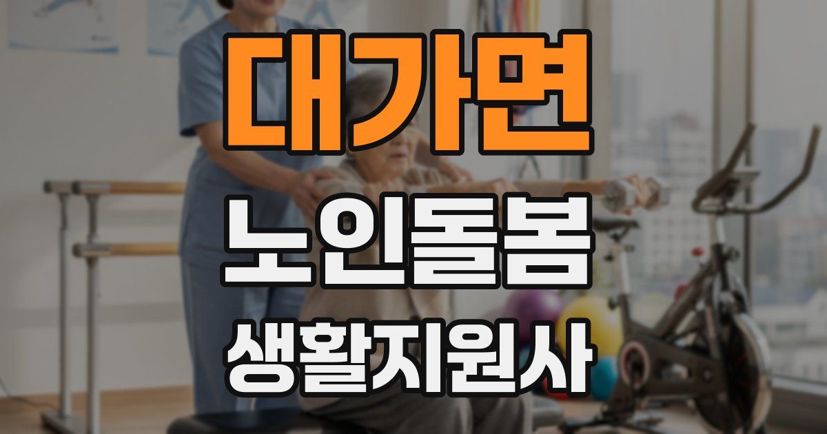 대가면 노인돌봄생활지원사 자격증