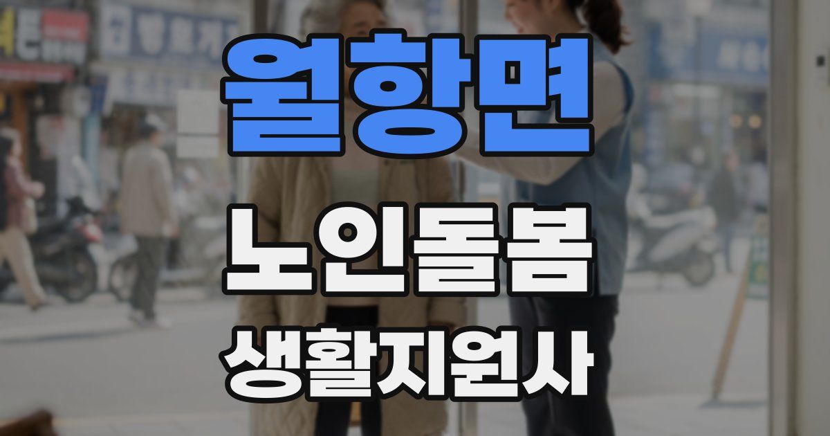 월항면 노인돌봄생활지원사 자격증