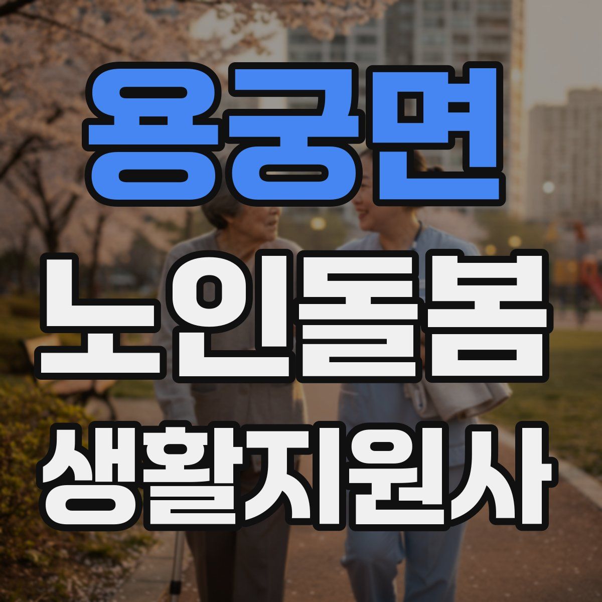 용궁면 노인돌봄생활지원사 자격증