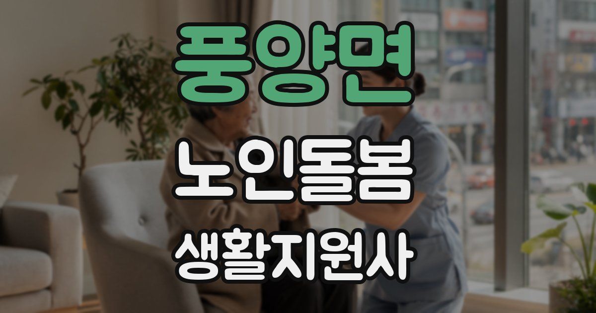 풍양면 노인돌봄생활지원사 자격증