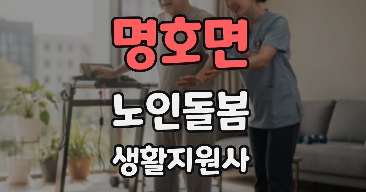 명호면 노인돌봄생활지원사 자격증