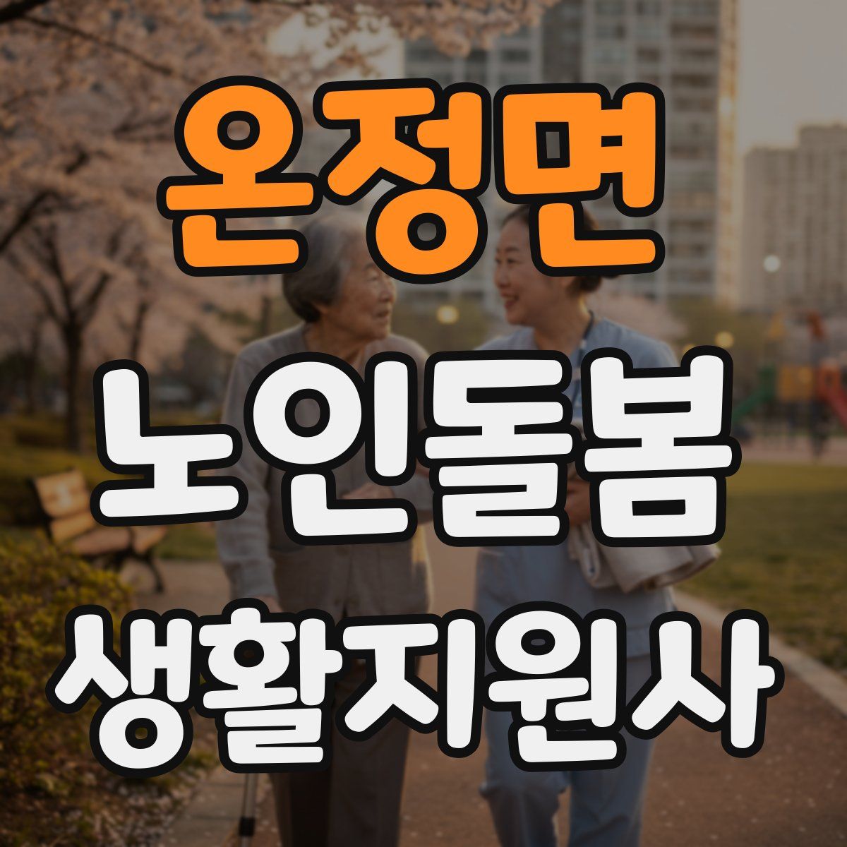 온정면 노인돌봄생활지원사 자격증