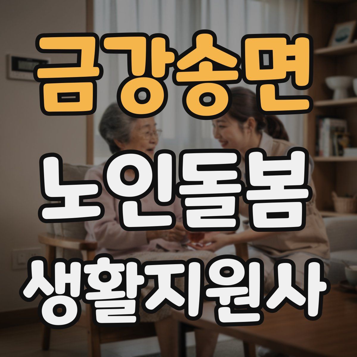 금강송면 노인돌봄생활지원사 자격증
