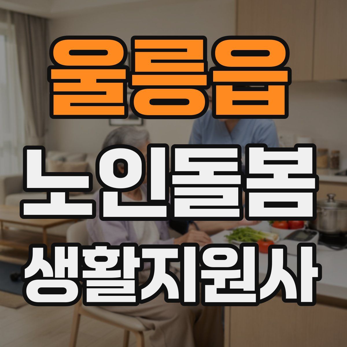 울릉읍 노인돌봄생활지원사 자격증