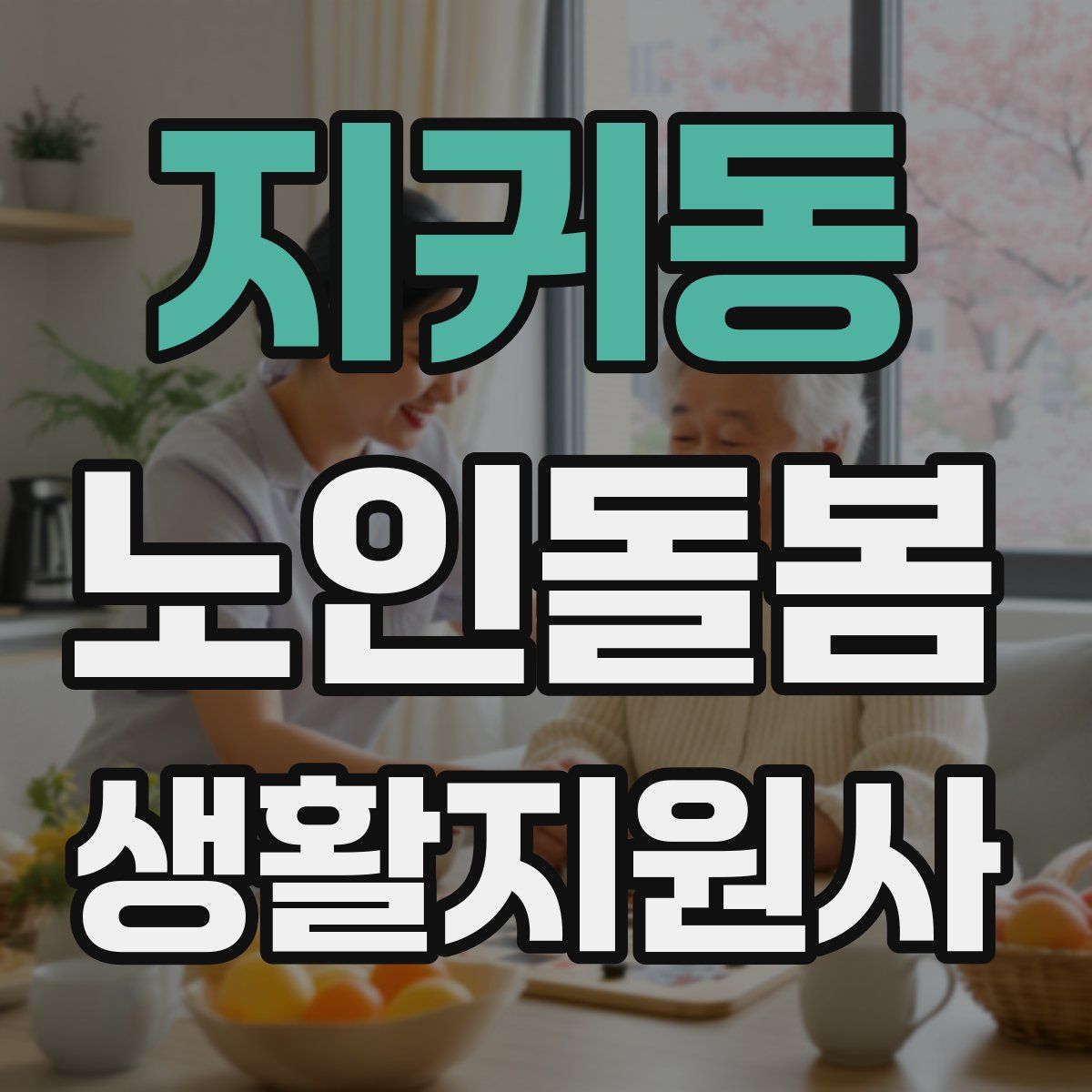 지귀동 노인돌봄생활지원사 자격증