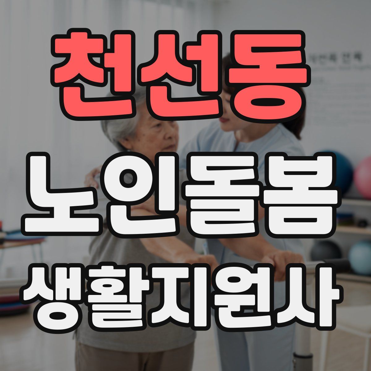 천선동 노인돌봄생활지원사 자격증