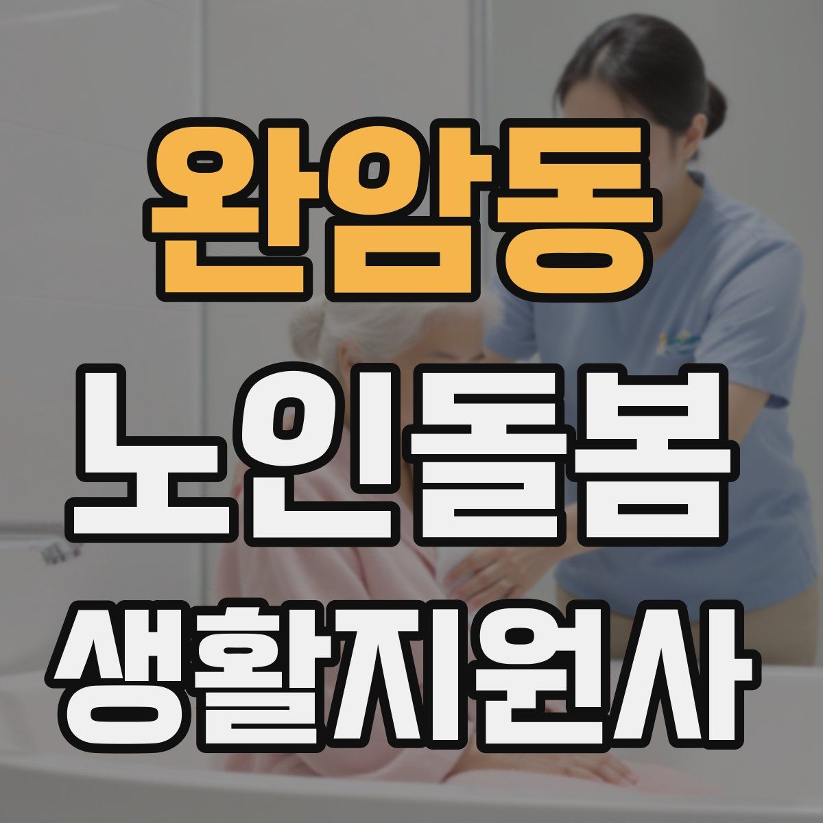 완암동 노인돌봄생활지원사 자격증