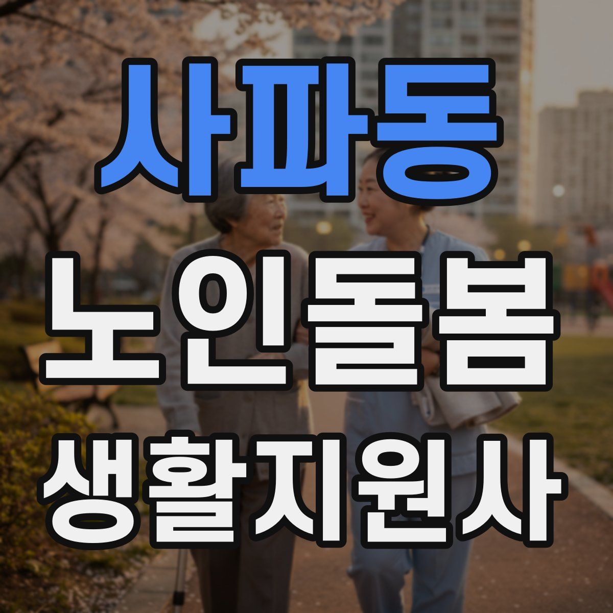 사파동 노인돌봄생활지원사 자격증
