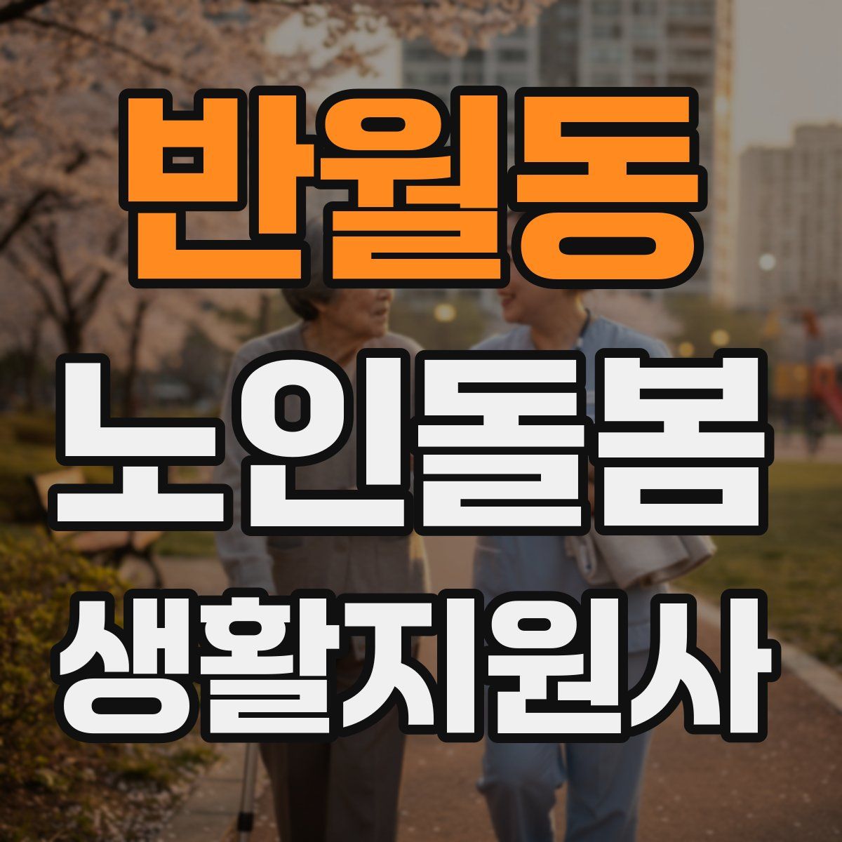반월동 노인돌봄생활지원사 자격증