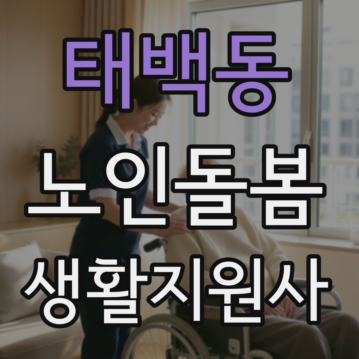 태백동 노인돌봄생활지원사 자격증