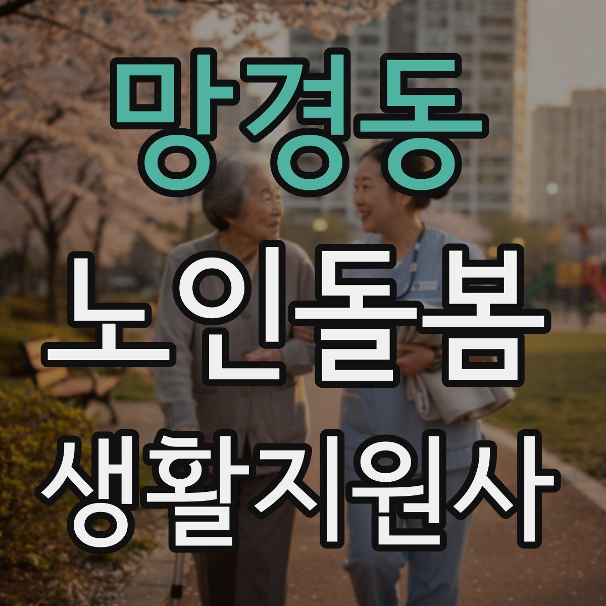 망경동 노인돌봄생활지원사 자격증
