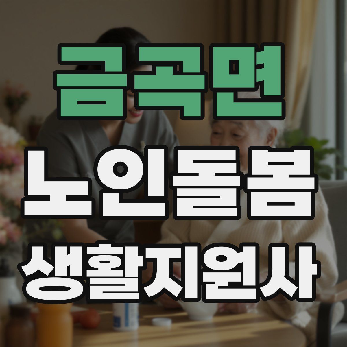 금곡면 노인돌봄생활지원사 자격증