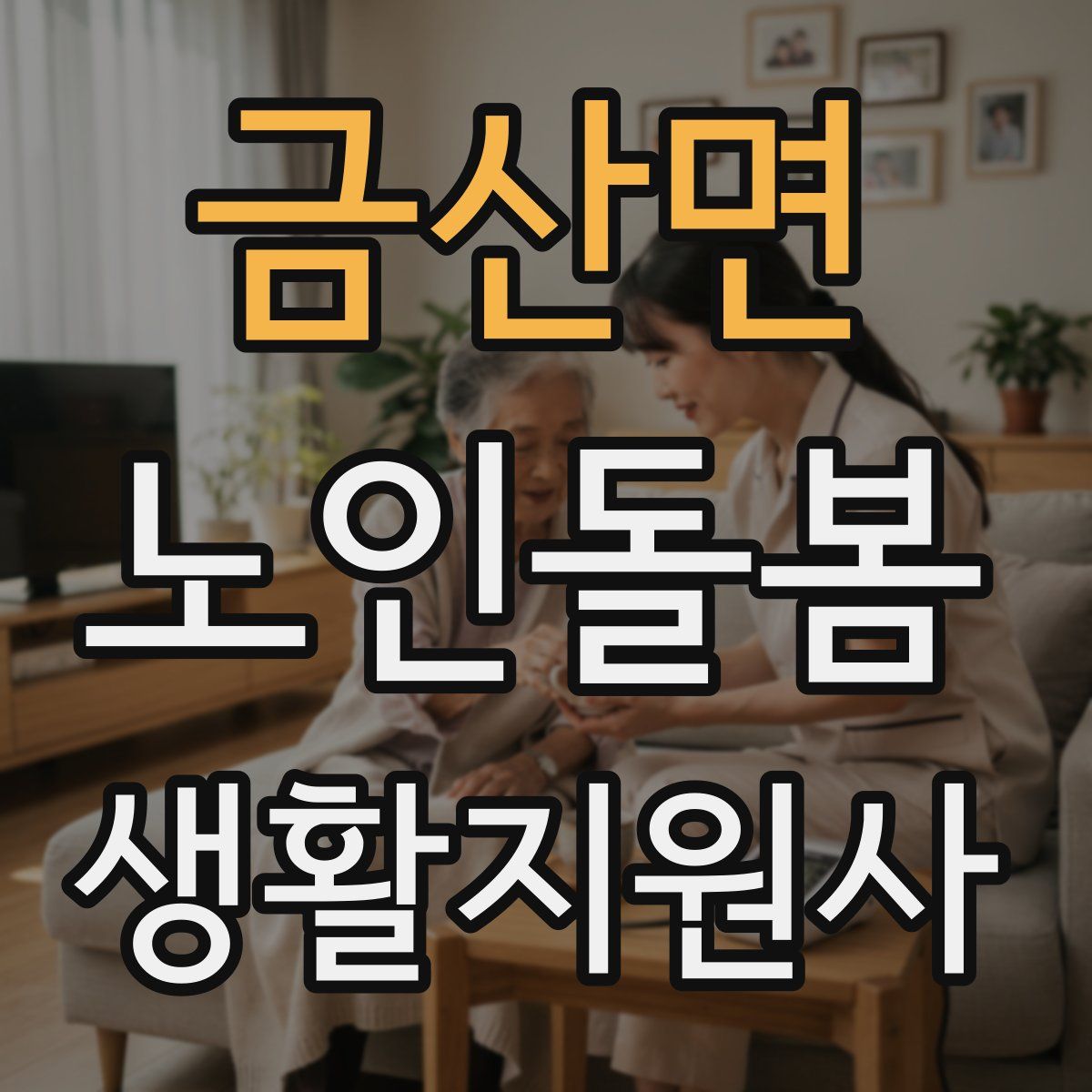 금산면 노인돌봄생활지원사 자격증