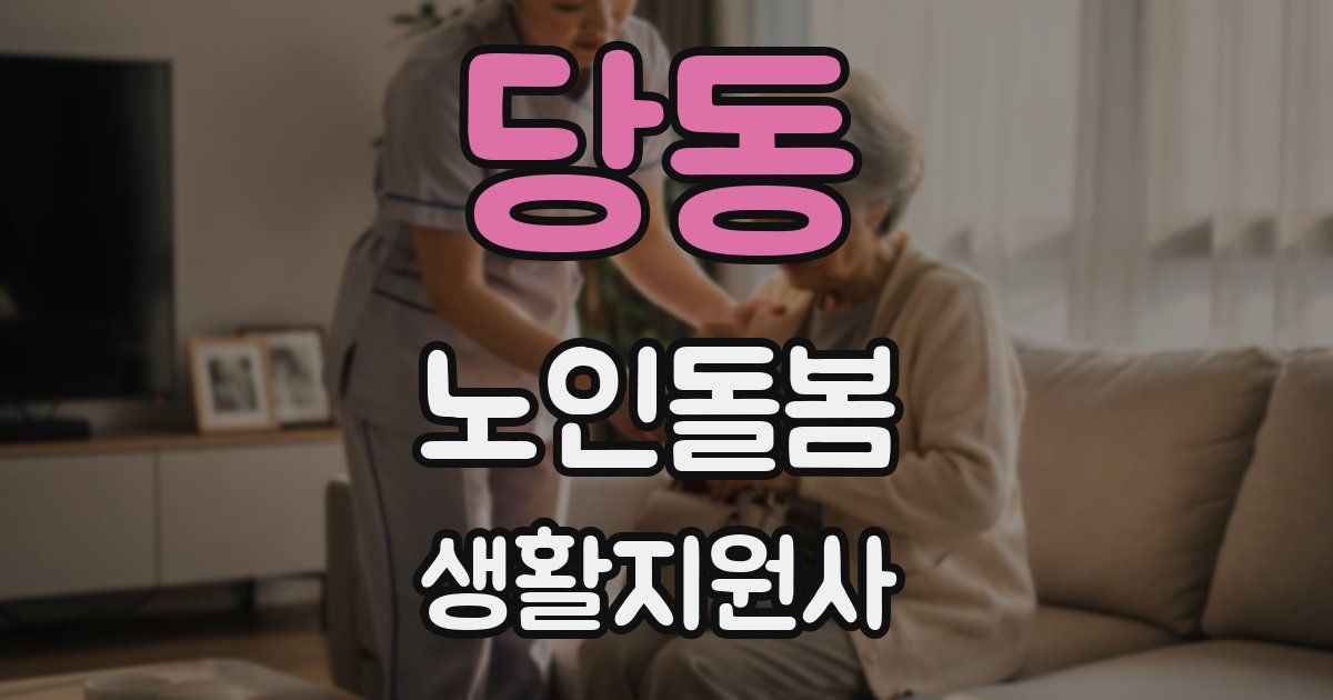 당동 노인돌봄생활지원사 자격증